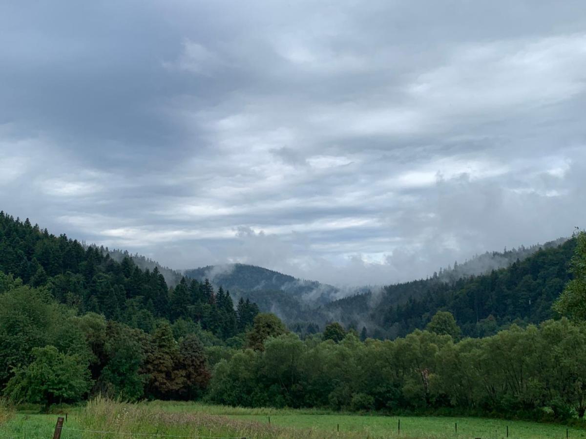 Tylko Tu Bieszczady, Balia, Sauna Baligród Kültér fotó