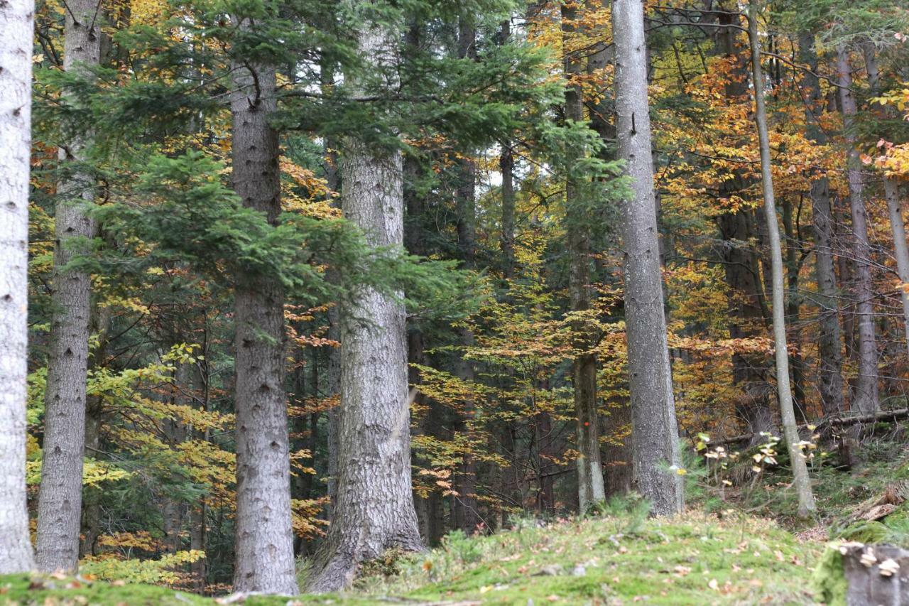 Tylko Tu Bieszczady, Balia, Sauna Baligród Kültér fotó